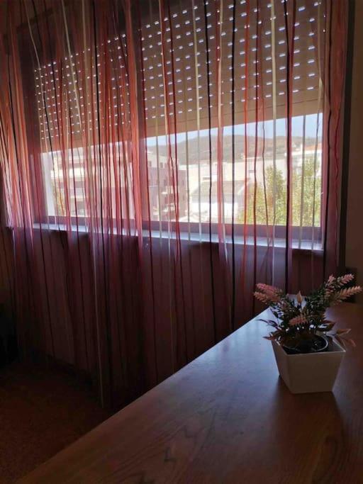Cardoso House Vpa Apartamento Vila Praia de Âncora Exterior foto